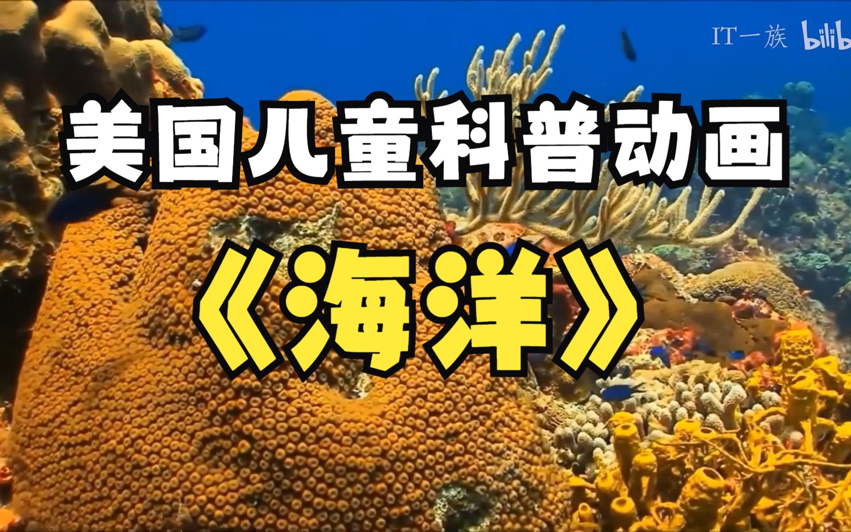 美國(guó)少兒科普動(dòng)畫(huà)FreeSchool(中文配音版) 全集網(wǎng)盤下載